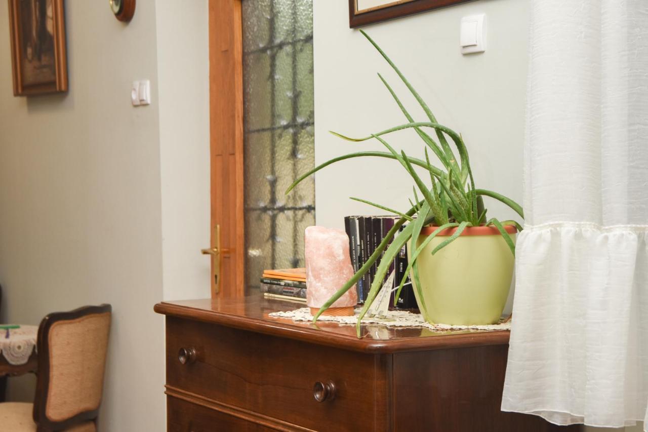 Apartman Woolf Senta Екстериор снимка
